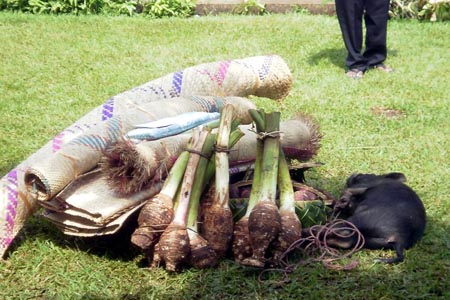 Paton Memorial Port Vila (Ceremony)